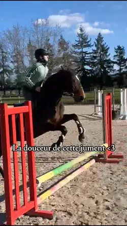 Quel amour 😍 