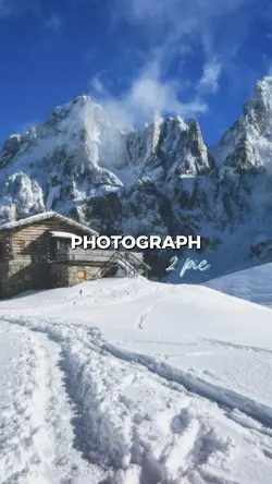 Photograph