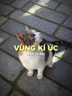 [31] VÙNG KÍ ỨC