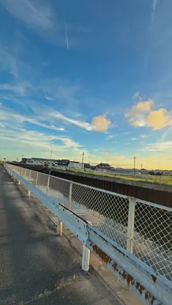 1VID FILTER JERNIH