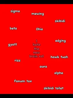 wasn’t even brainrot