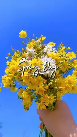 spring day