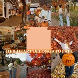 autumn/fall 🍁