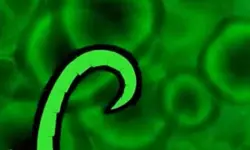 ben10 transformation