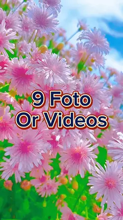 9 Video Slides