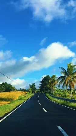 Random video