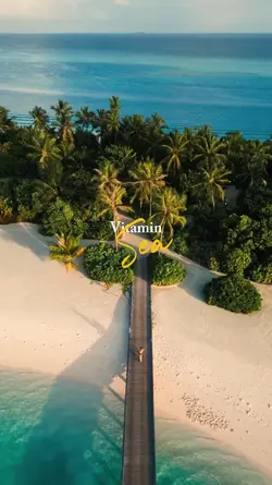 Vitamin sea