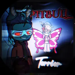 PITBULL terroir