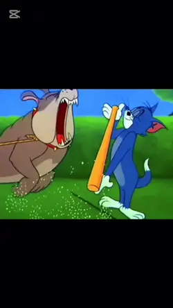 Namae video
