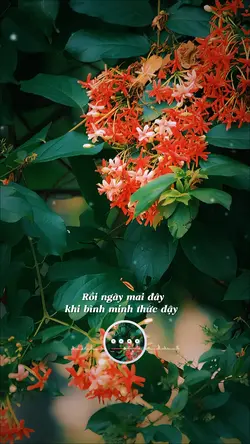 Kỷ Niệm Nào Quên