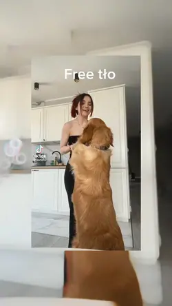 Free tło