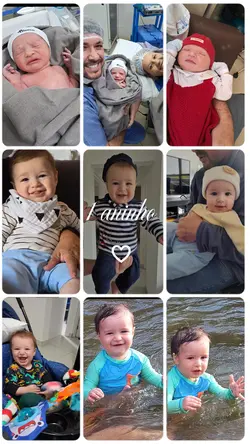1 aninho