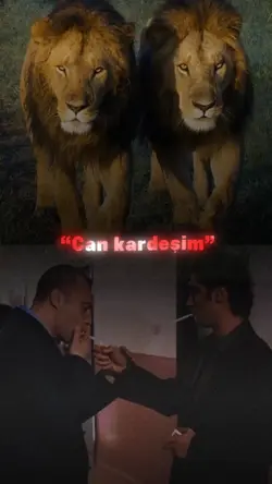 Can kardeşim
