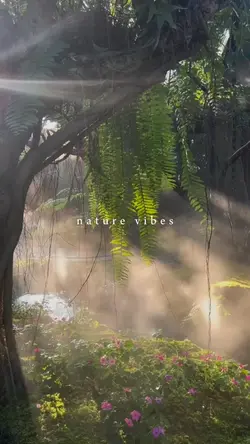 nature vibes 