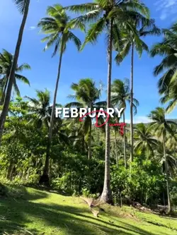 February Dump