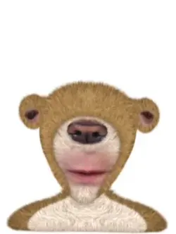 Ice age