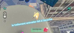 le traitement animal