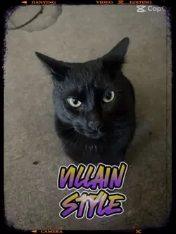 Villain kitty 