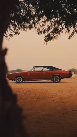 IRANI — 🎼🇮🇷