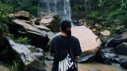 Forest cinematic