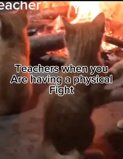 Teachers be like-