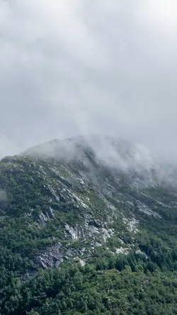 Frosted Mystery