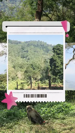 Receipt Scrapbook