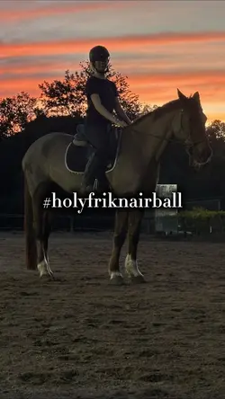 Equestrian template 