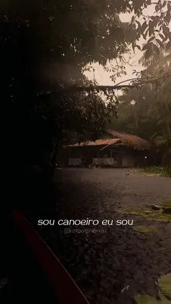 Canoeiro