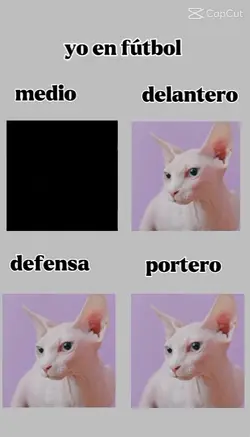 volví a mi 
prime