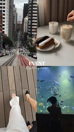 event highlights