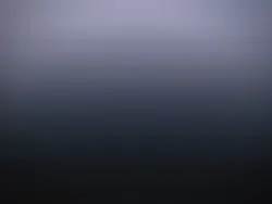 ネオンサイン