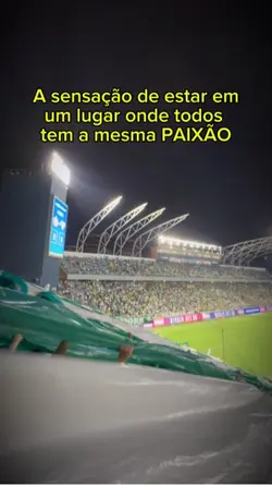 PAIXÃO PELO FUTEBOL
