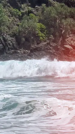 5FOTO X 1VIDEO
