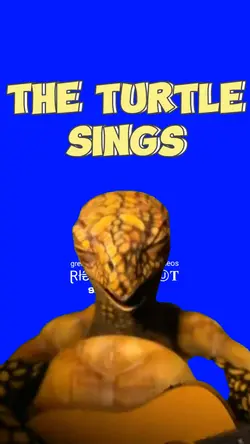 the turtle sings