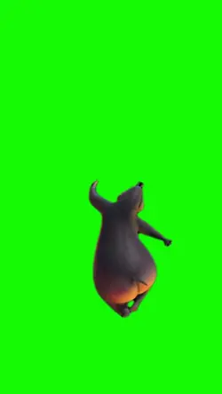 hipopótamo dance 