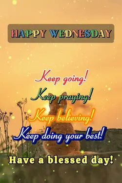 Happy Wednesday 