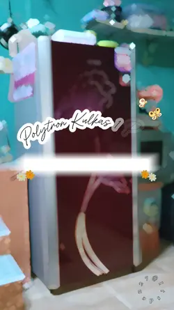 Kulkas Polytron