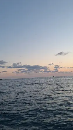 una vista de