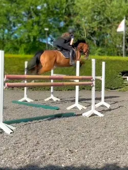 Slo-mo