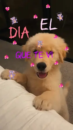el dia que te vi