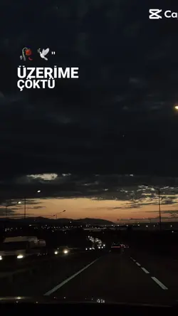 Üzerime çöktü gecele