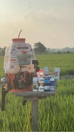 Petani 🙌🔥🔥
