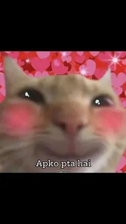 Mujhe hi dekh lijiye