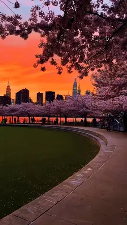 19 videos or photos 