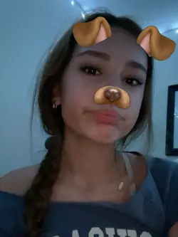 fake snap filters