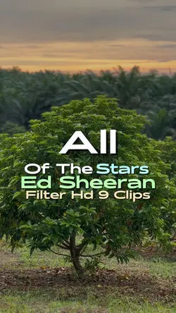 All of The Stars