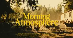 MORNING ATMOSPHERE 