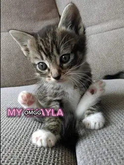 OMGG MY SHAYLA