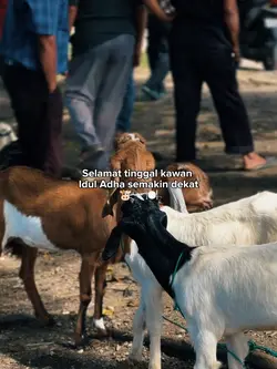 Selamat tinggal kawa